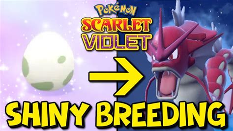 How To Shiny Hunt Using The Masuda Method in Pokemon .